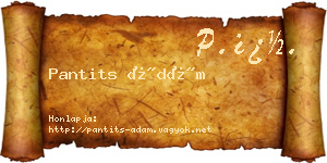 Pantits Ádám névjegykártya